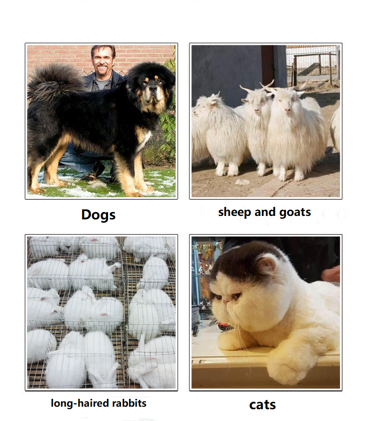 Cortapelos para mascotas con cable T82 Cortapelos para mascotas con cable T82