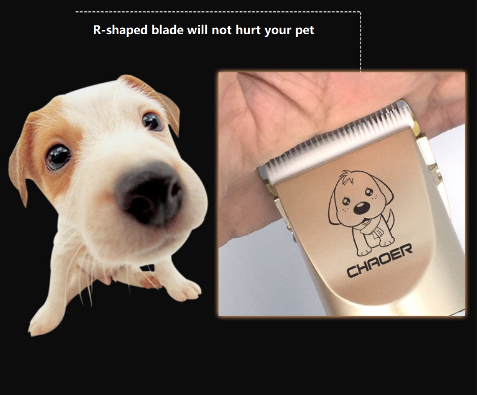 Cortadora de mascotas inalámbrica USB A60