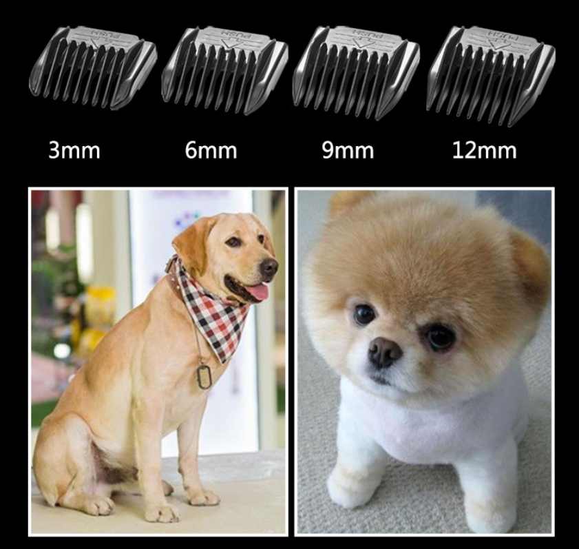 Cortapelos inalámbrico para mascotas LAORENTOU AB60